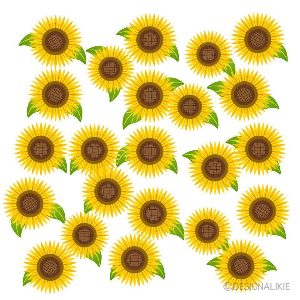 Lots of Simple Sunflowers