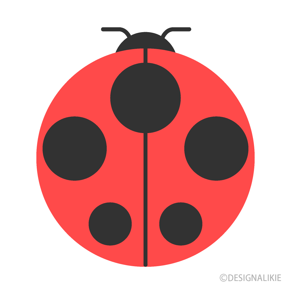 Flat Ladybug