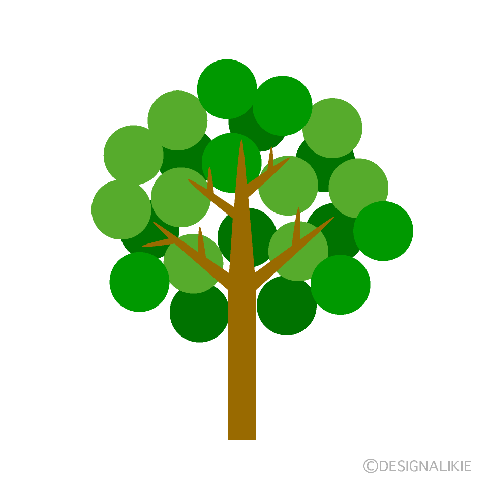 Round  Leaf Tree