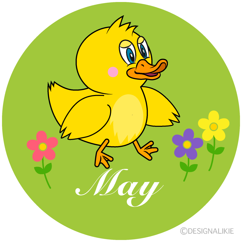Duck May
