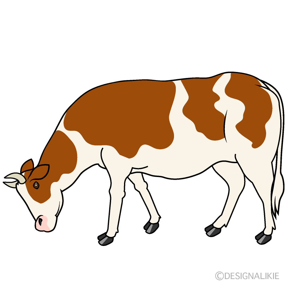 Cow with Brown Eating