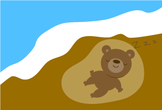  Hibernating bear