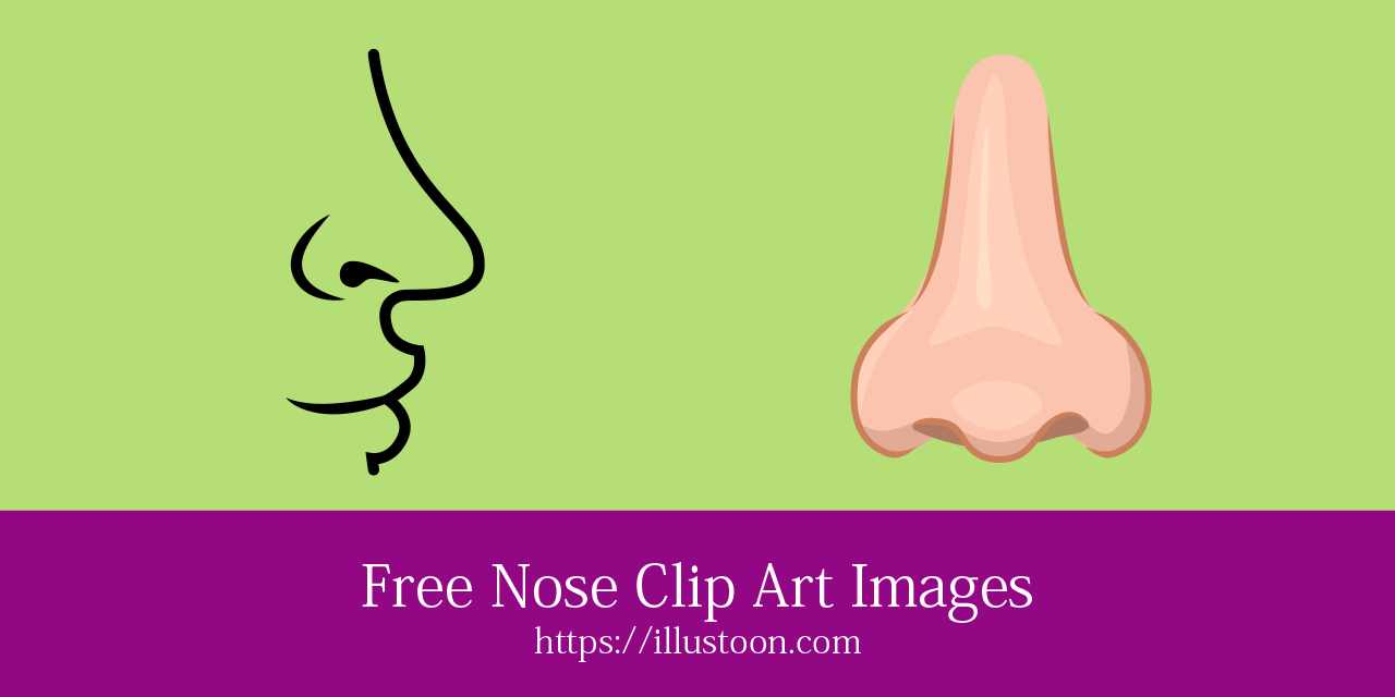 different types of womens noses clipart