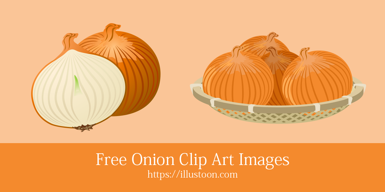 Free Onion Clip Art Images