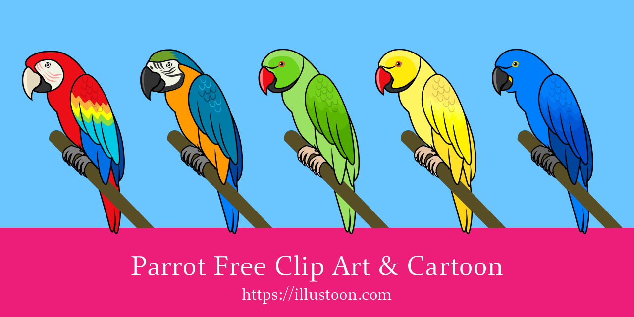 Birds Set Wavy Parrots Budgies Ara Cockatoo Parrots Are In Love Stock  Illustration - Download Image Now - iStock