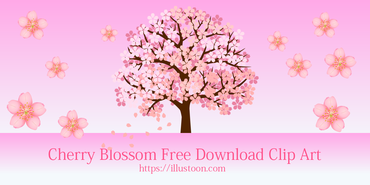 Cherry Blossom Free Download Images