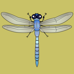 Dragonfly Cartoon Clipart