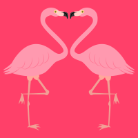 Flamingo Clipart