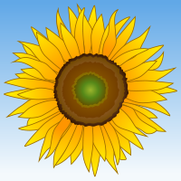 Sunflower Clipart