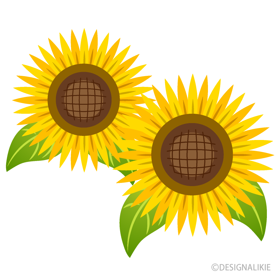 Simple Sunflower Flowers