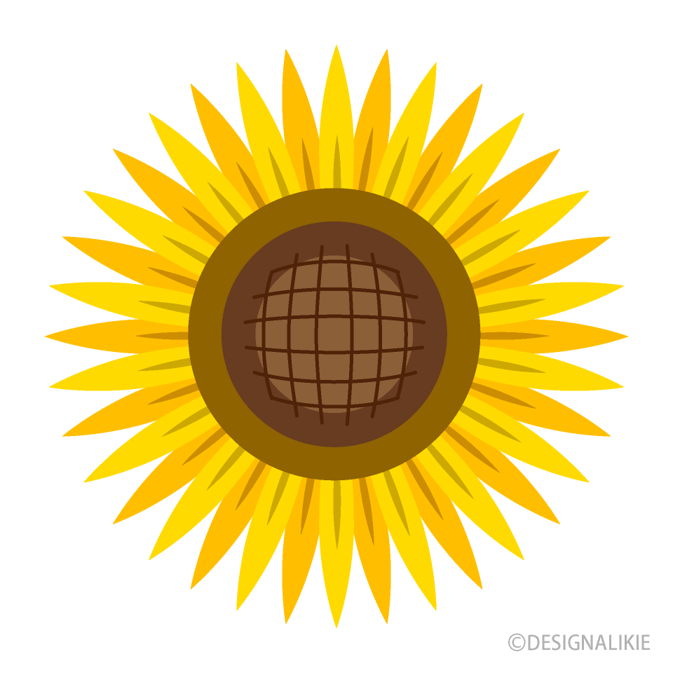 Simple Sunflower Flower