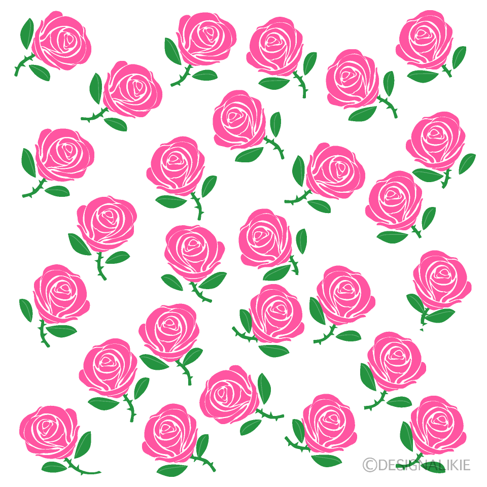 Lots of Pink Roses