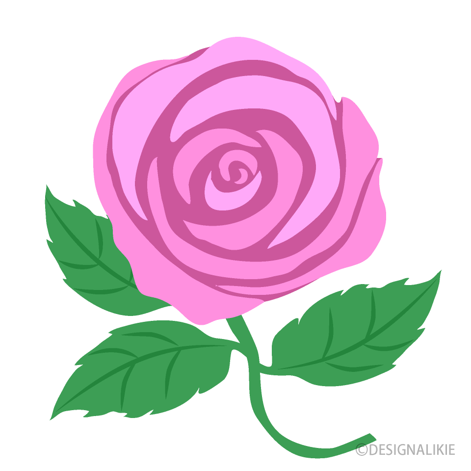 Light Pink Rose Clip Art Free Png Image｜Illustoon