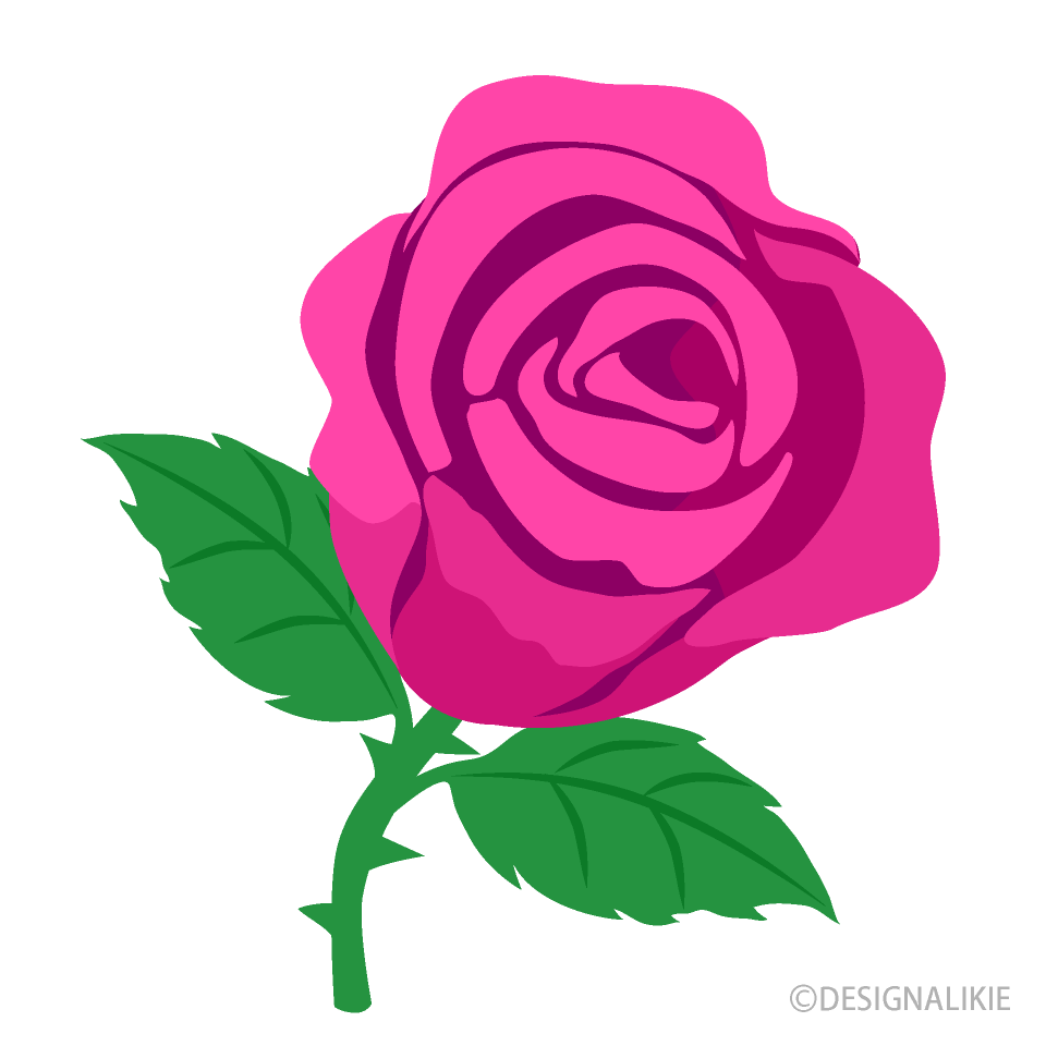 Pink Rose Flower Clip Art Free Png Image｜Illustoon