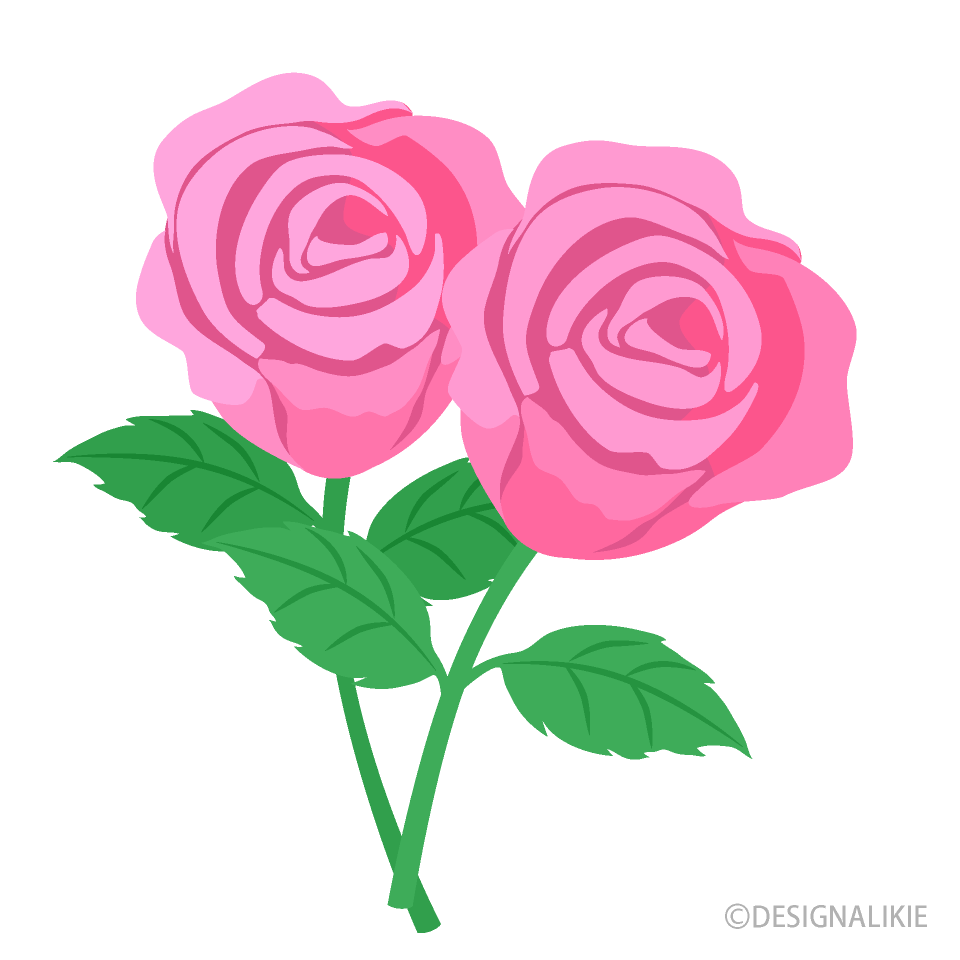 Light Pink Rose Flowers