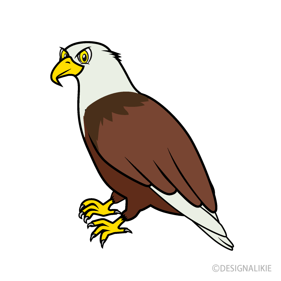 Eagle Cartoon Free PNG Image｜Illustoon