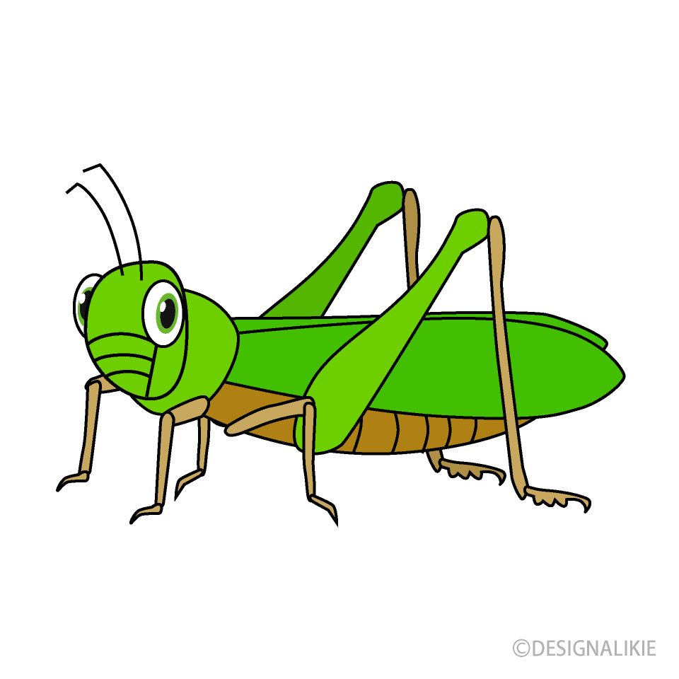 Locust