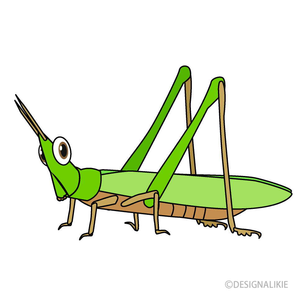 Grasshopper Cartoon Free PNG Image｜Illustoon