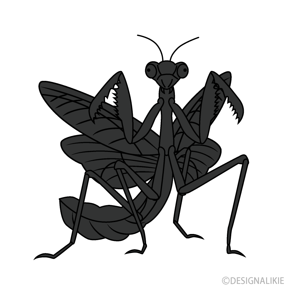 Menacing Mantis