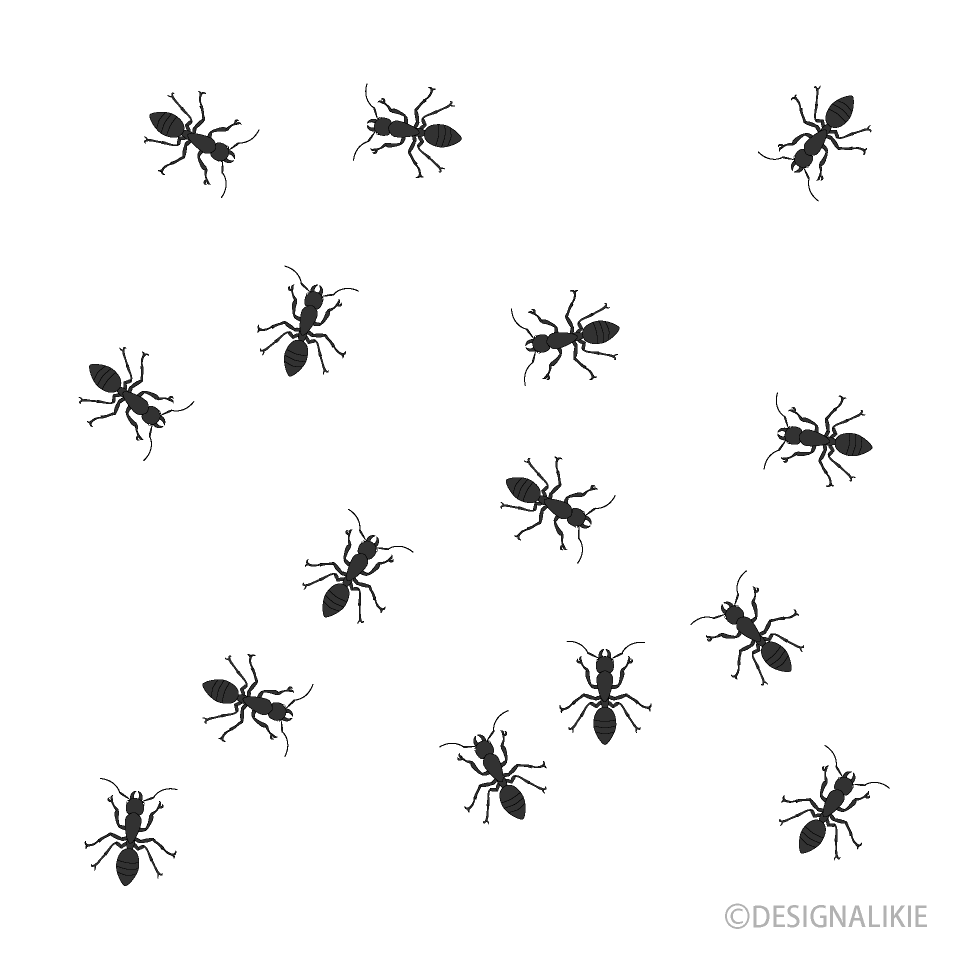 Lots of Ant