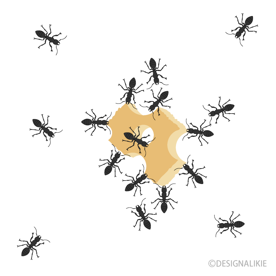 Ants Swarming Food
