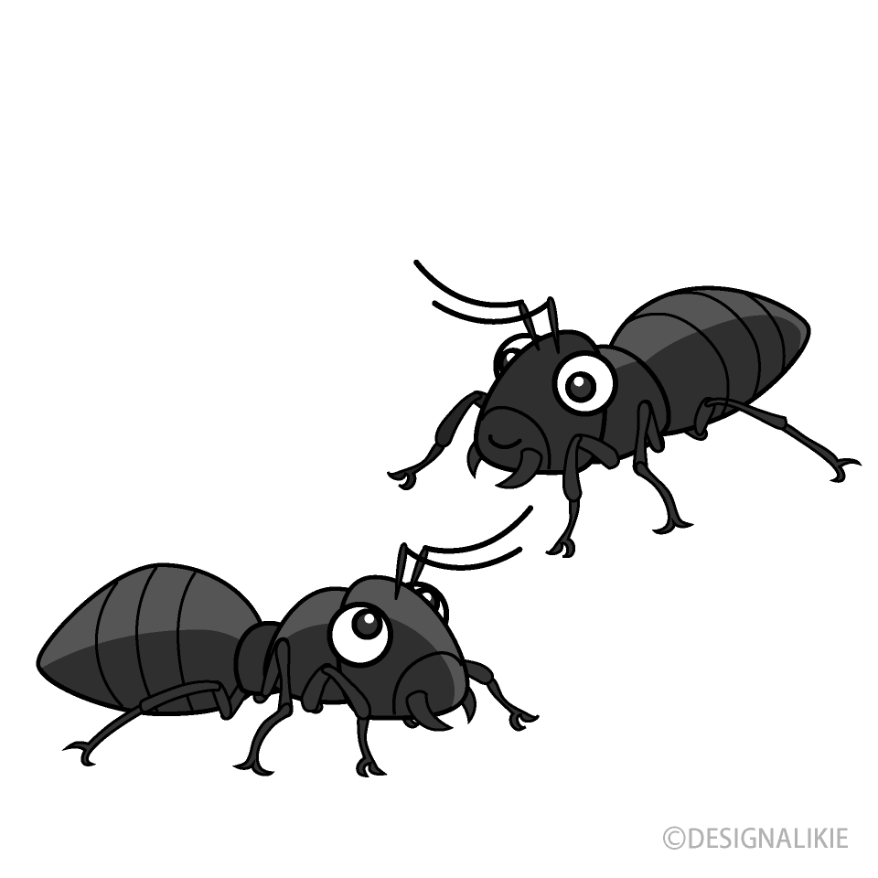 Two Ants Clip Art Free PNG Image｜Illustoon