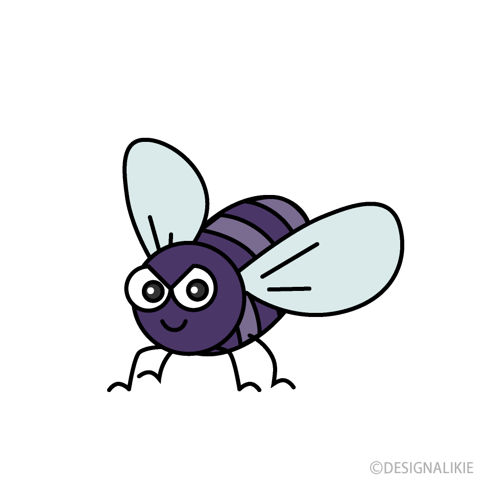 Cute Fly Cartoon Free PNG Image｜Illustoon