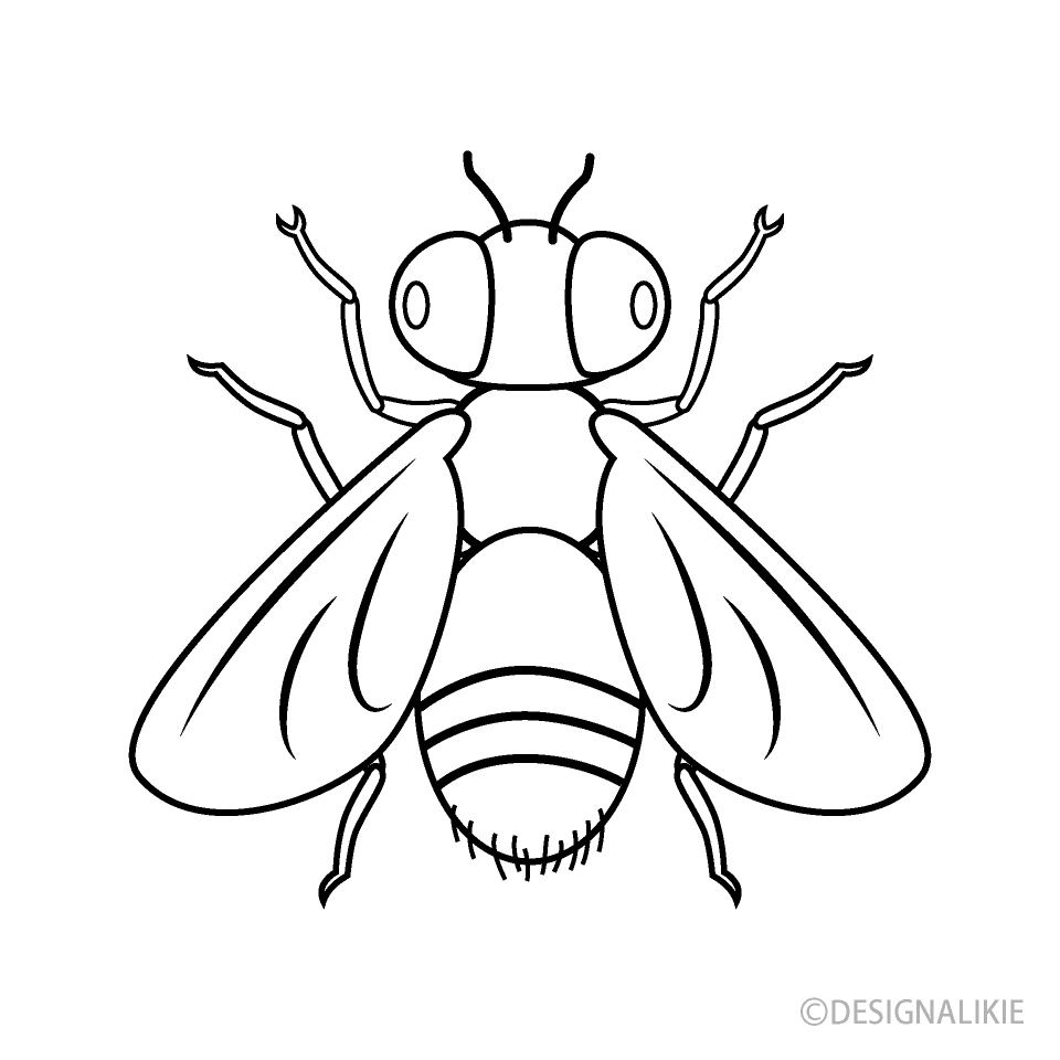 fly clipart black and white