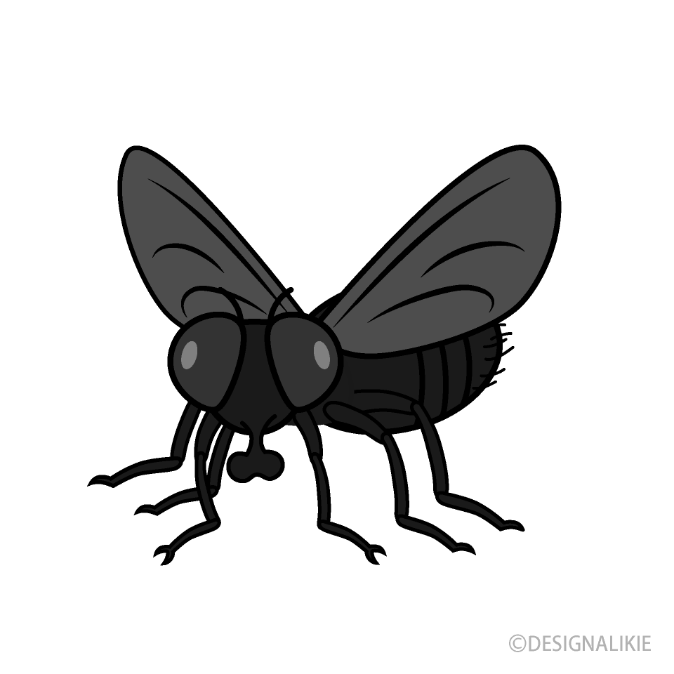 Mosquito Pequeño