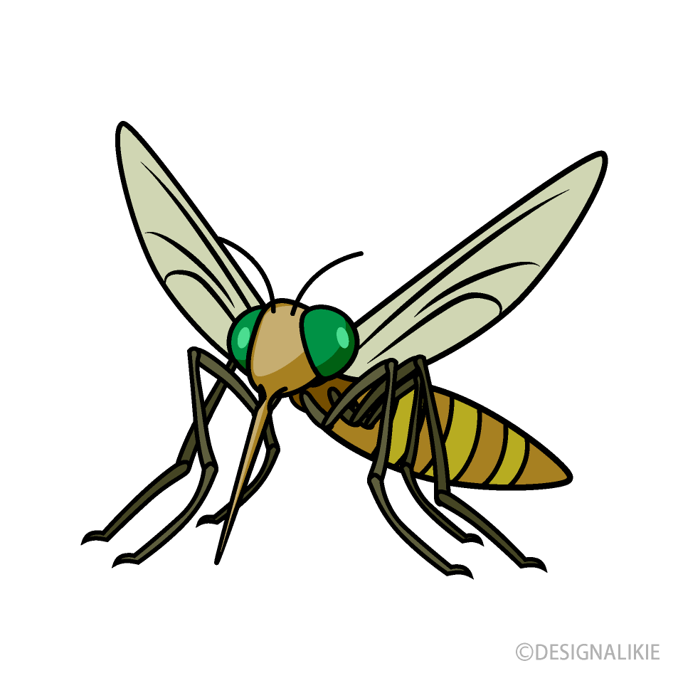 Brown Mosquito