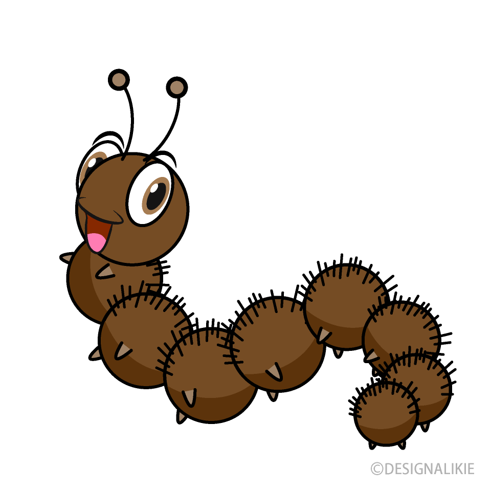 Brown Fur Caterpillar