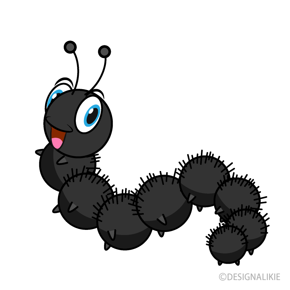 Smiling Black Fur Caterpillar