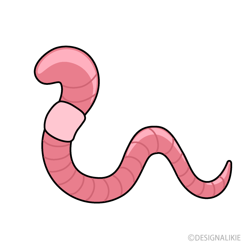 Thick Pink Earthworm