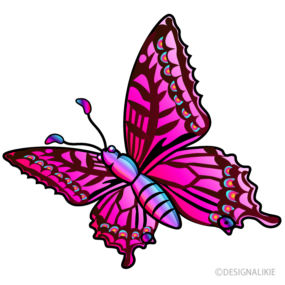 Flying Pink Butterfly