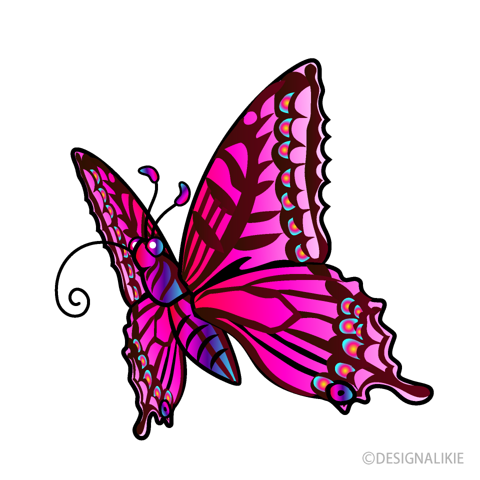 Sucking Pink Butterfly