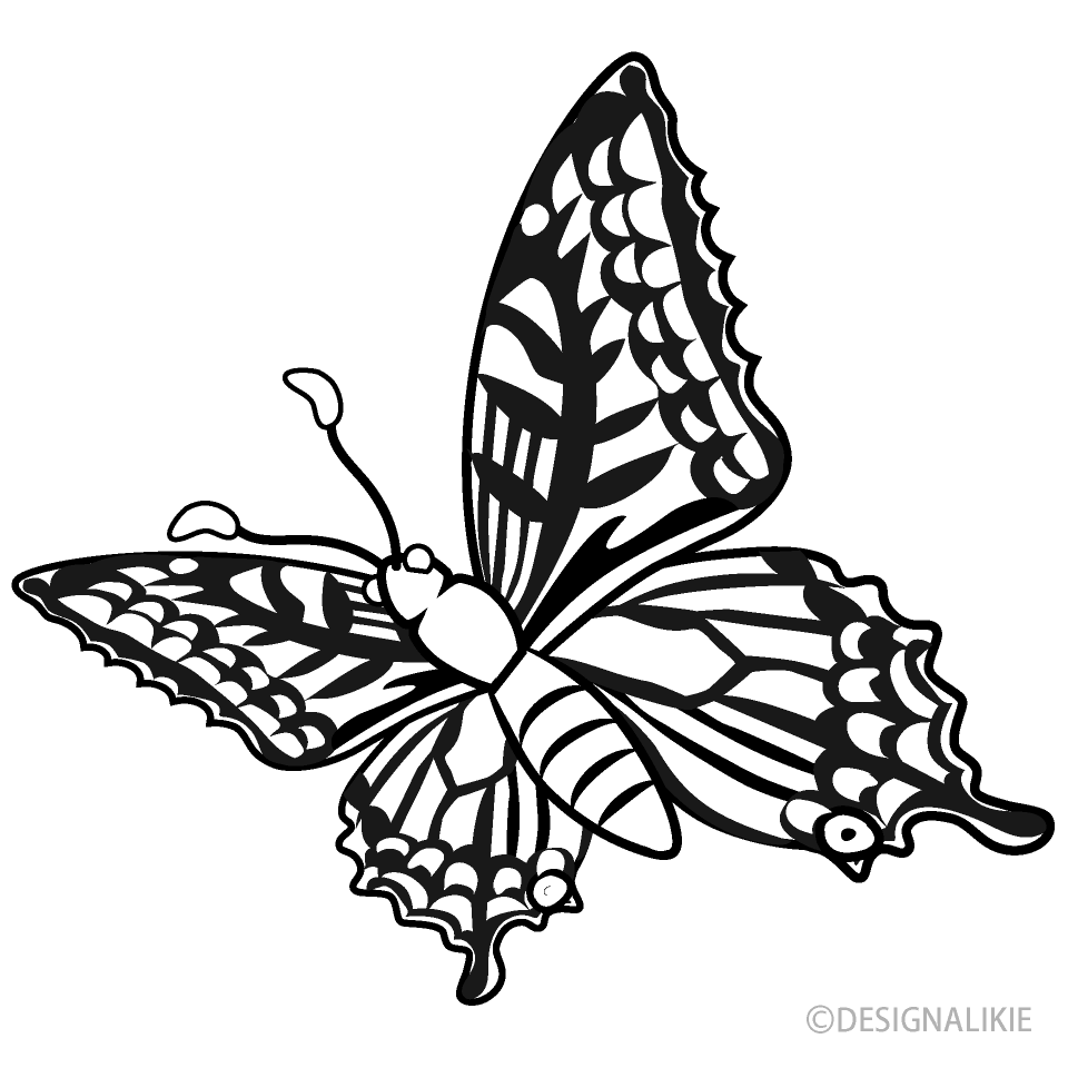 Flying Swallowtail Butterfly