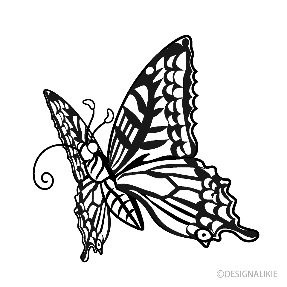 Mariposa Cola de Golondrina Chupando