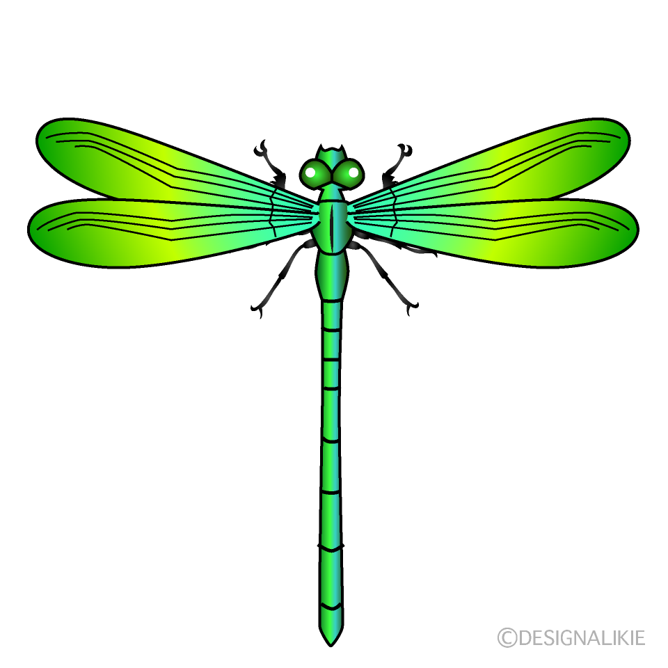 Yellow and Green Dragonfly