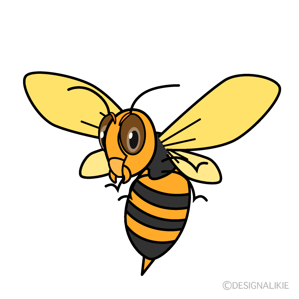 Hovering Wasp