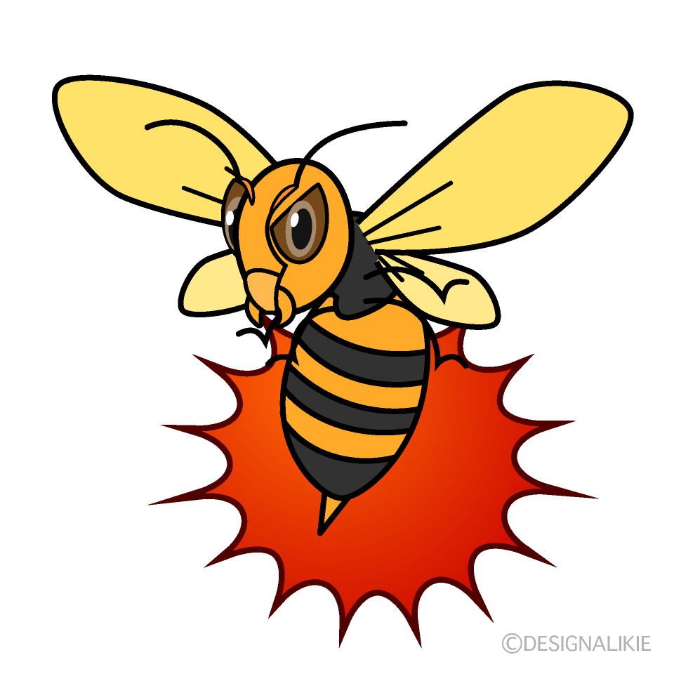 Sting Wasp
