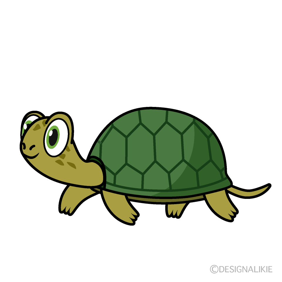Walking Turtle