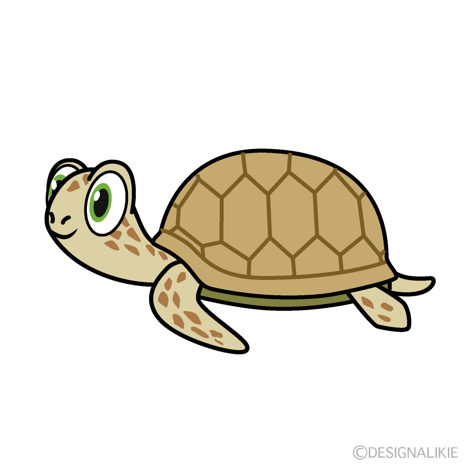 Sea Turtle Cartoon Free PNG Image｜Illustoon
