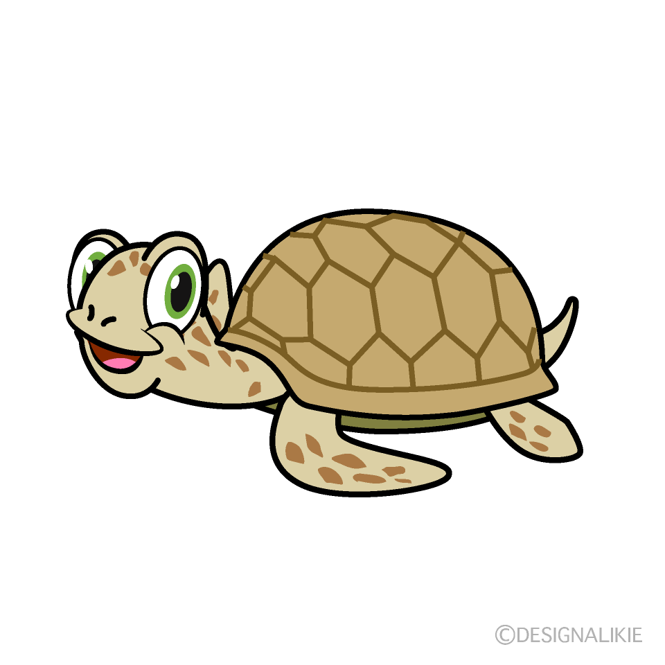 Smiling Sea Turtle Cartoon Free PNG Image｜Illustoon