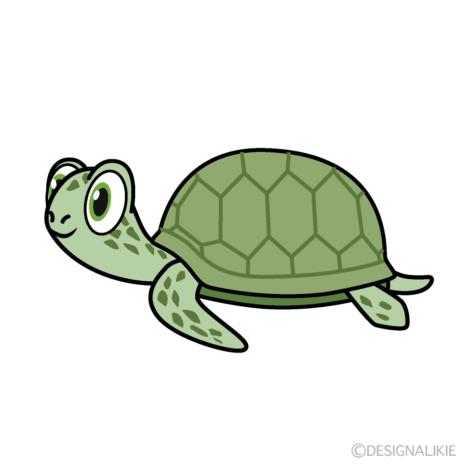 Green Sea Turtle Side