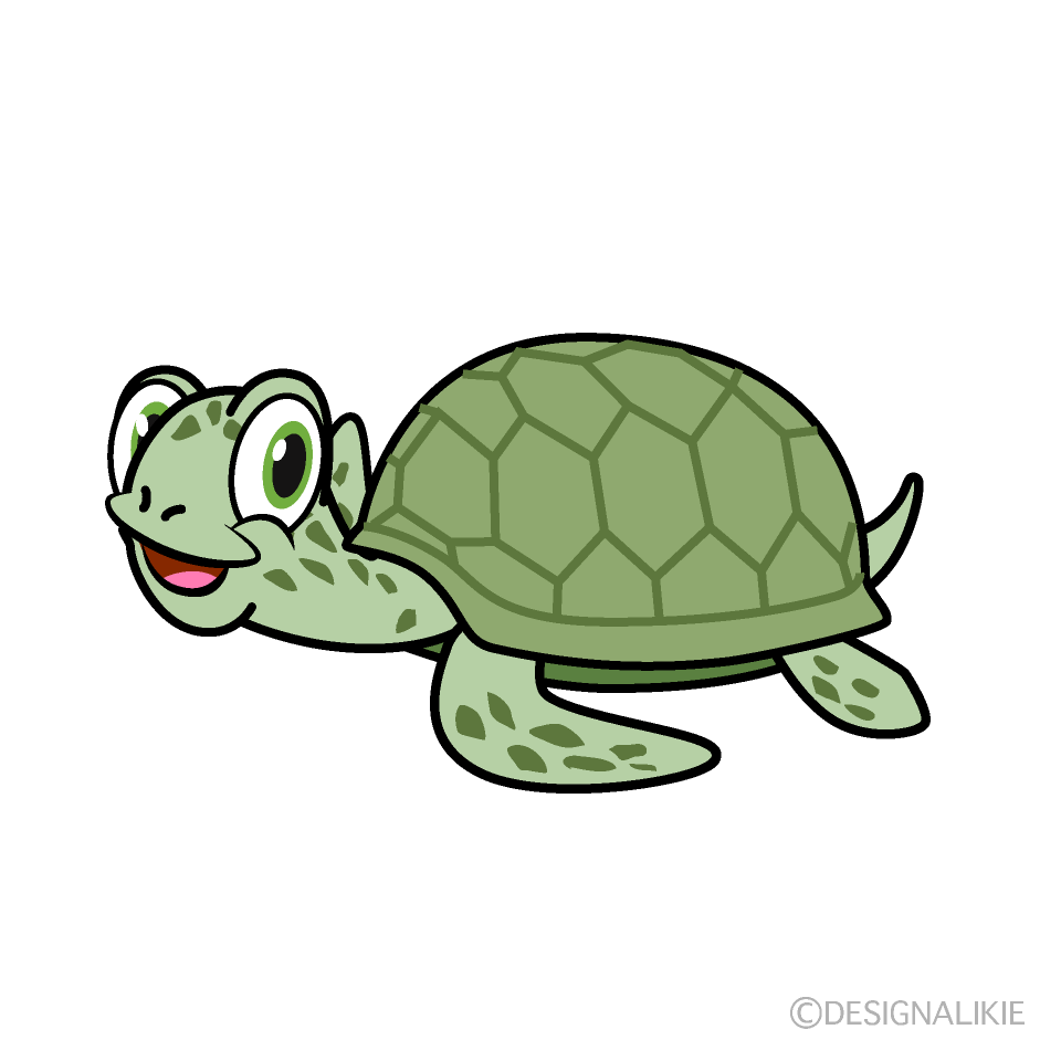 Smiling Green Sea Turtle