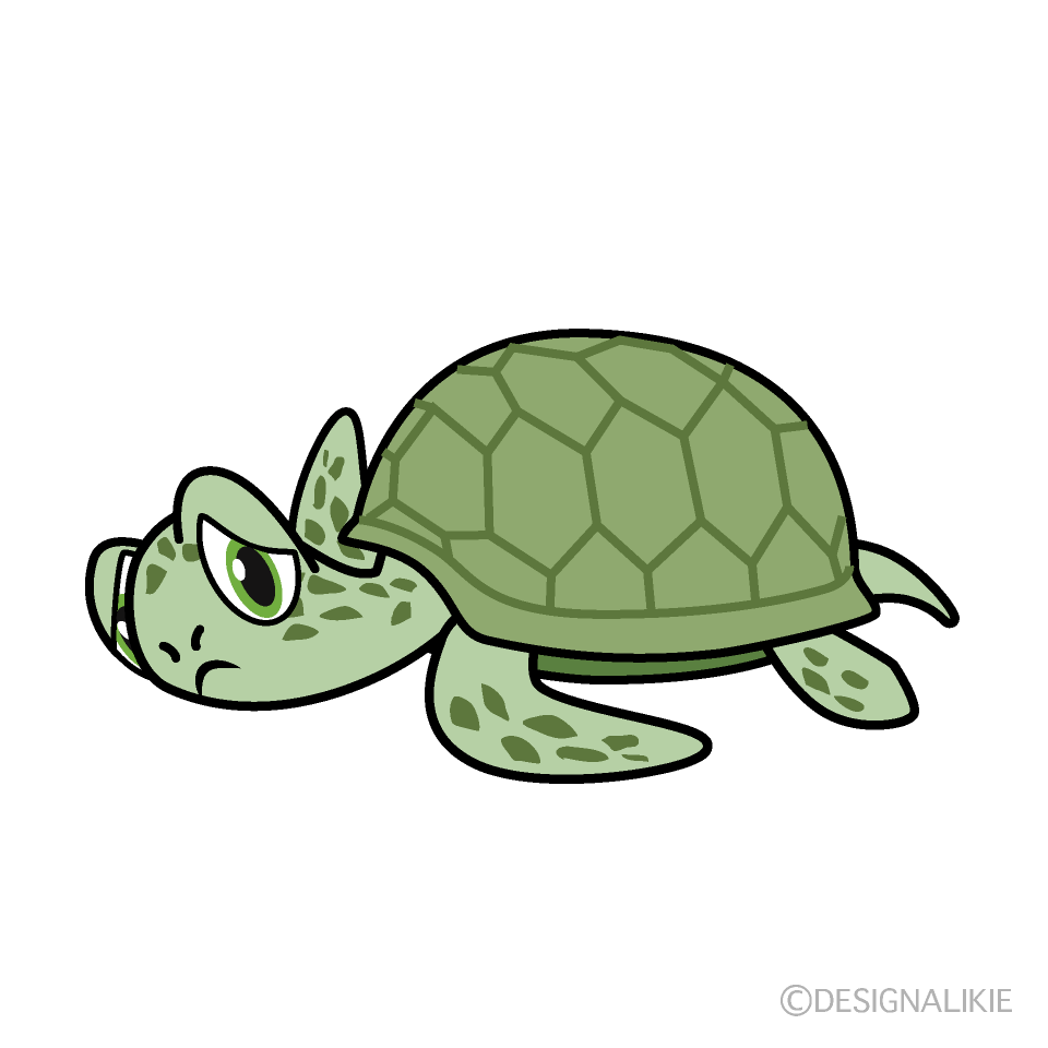 Tired Green Sea Turtle