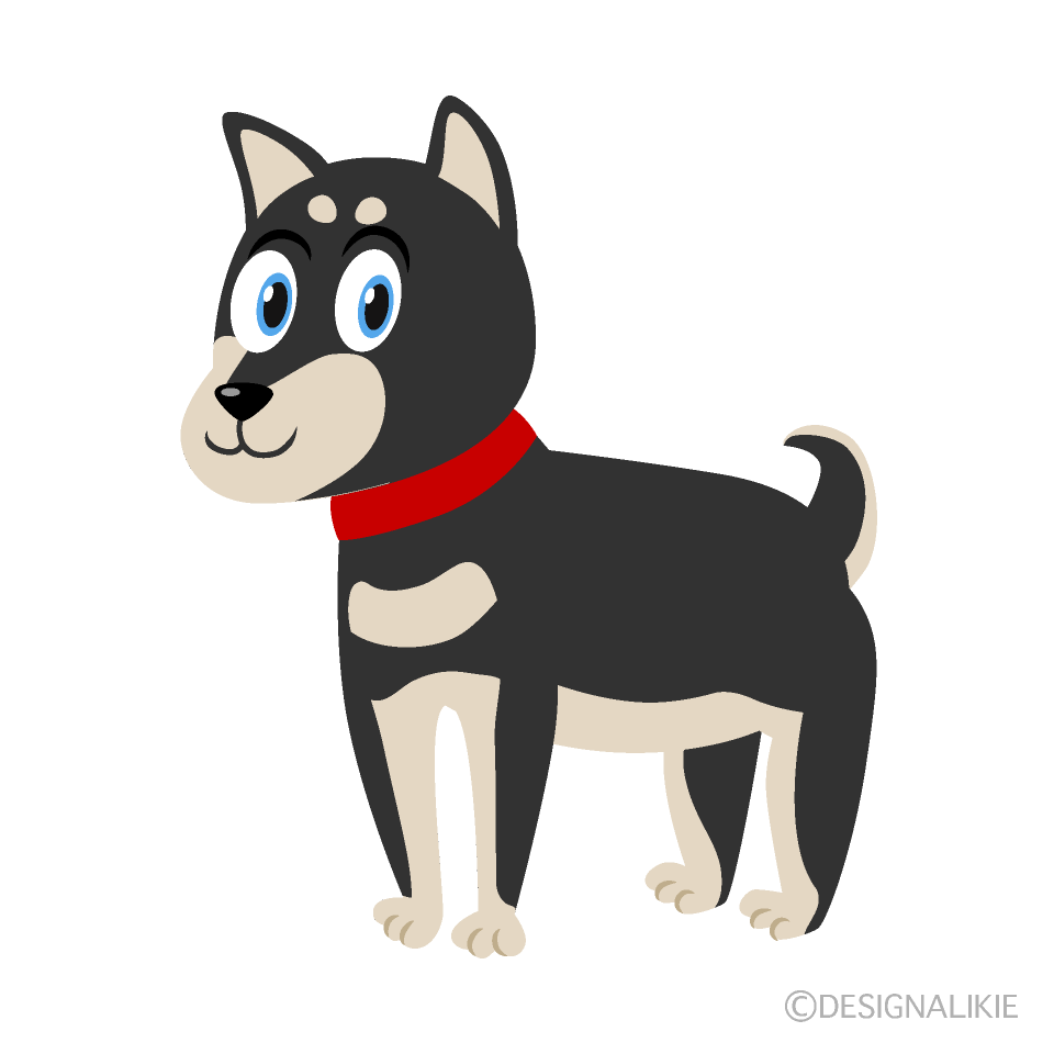 Shiba Black Dog Cartoon Free PNG Image｜Illustoon