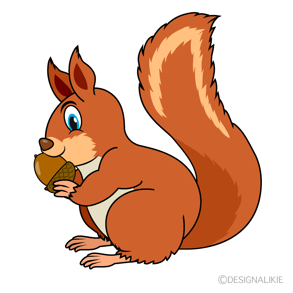 Biting Squirrel Cartoon Free PNG Image｜Illustoon