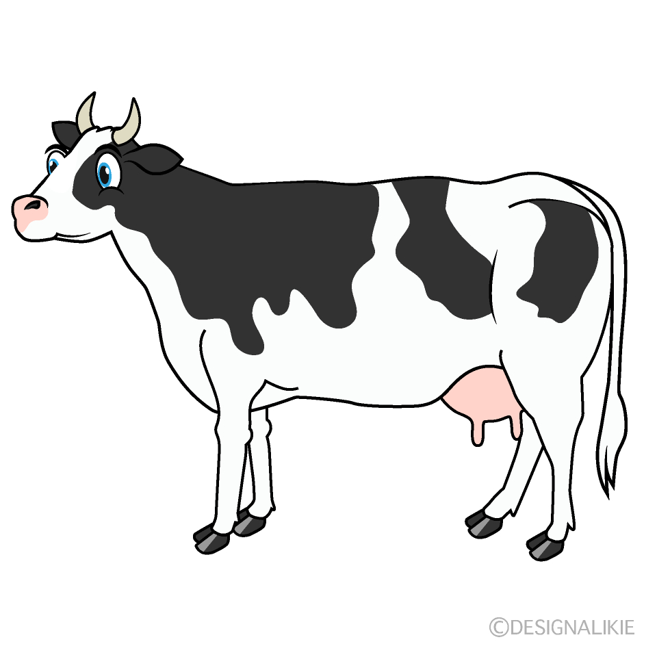 Cow Cartoon Free PNG Image｜Illustoon