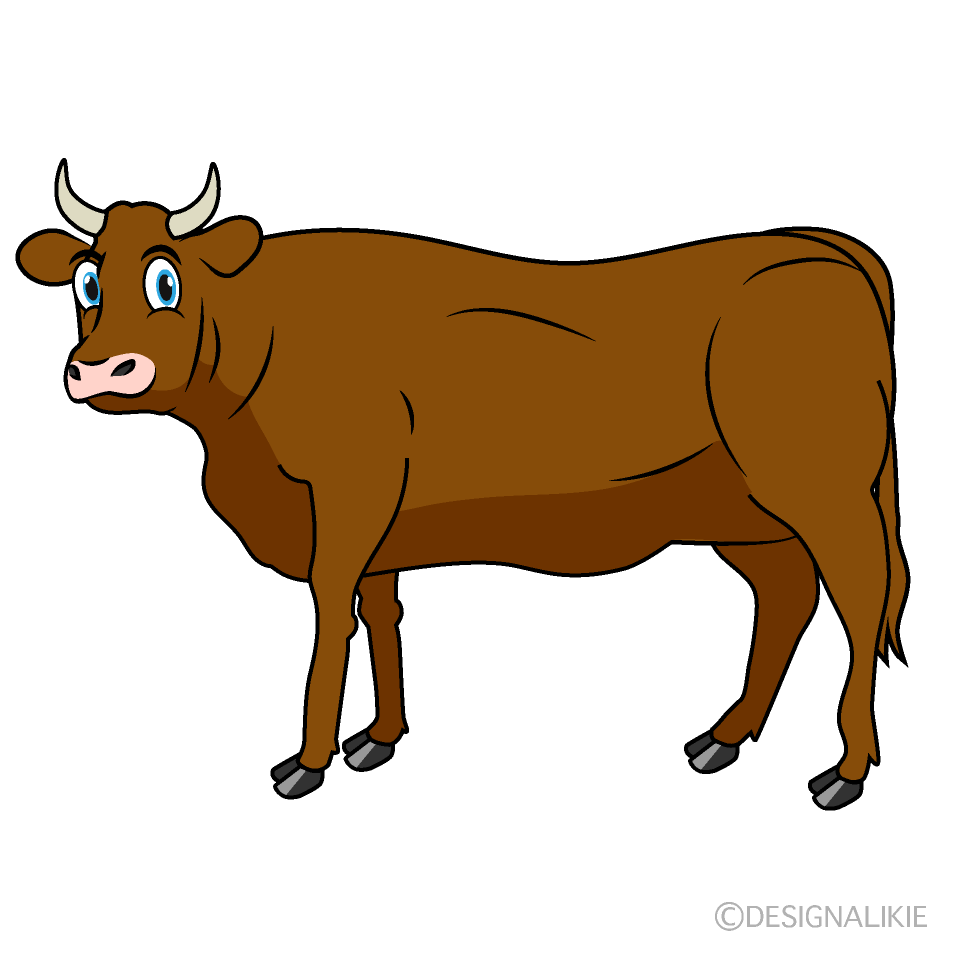 Looking Brown Cattle Cartoon Free PNG Image｜Illustoon